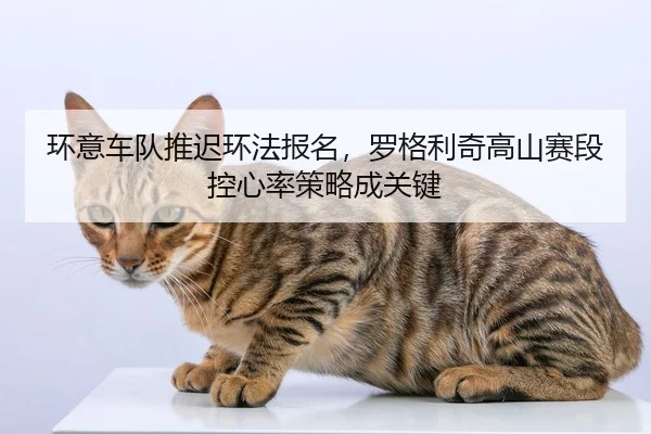 huan-yi-che-dui-tui-chi-huan-fa-bao-ming-luo-ge-li-qi-gao-shan-sai-duan-kong-xin-lv-ce-lve-cheng-guan-jian-2-590.jpg