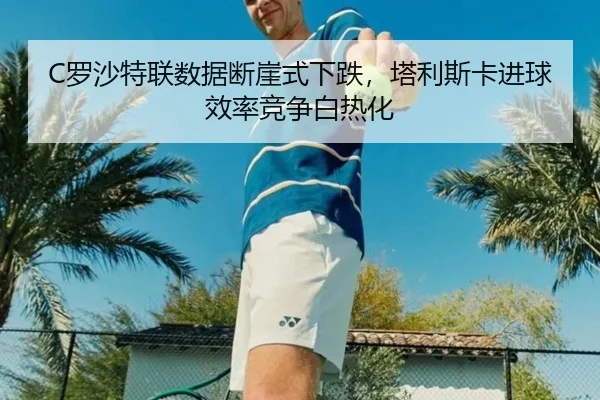 luo-sha-te-lian-shu-ju-duan-ya-shi-xia-die-ta-li-si-ka-jin-qiu-xiao-lv-jing-zheng-bai-re-hua-3-383.jpg